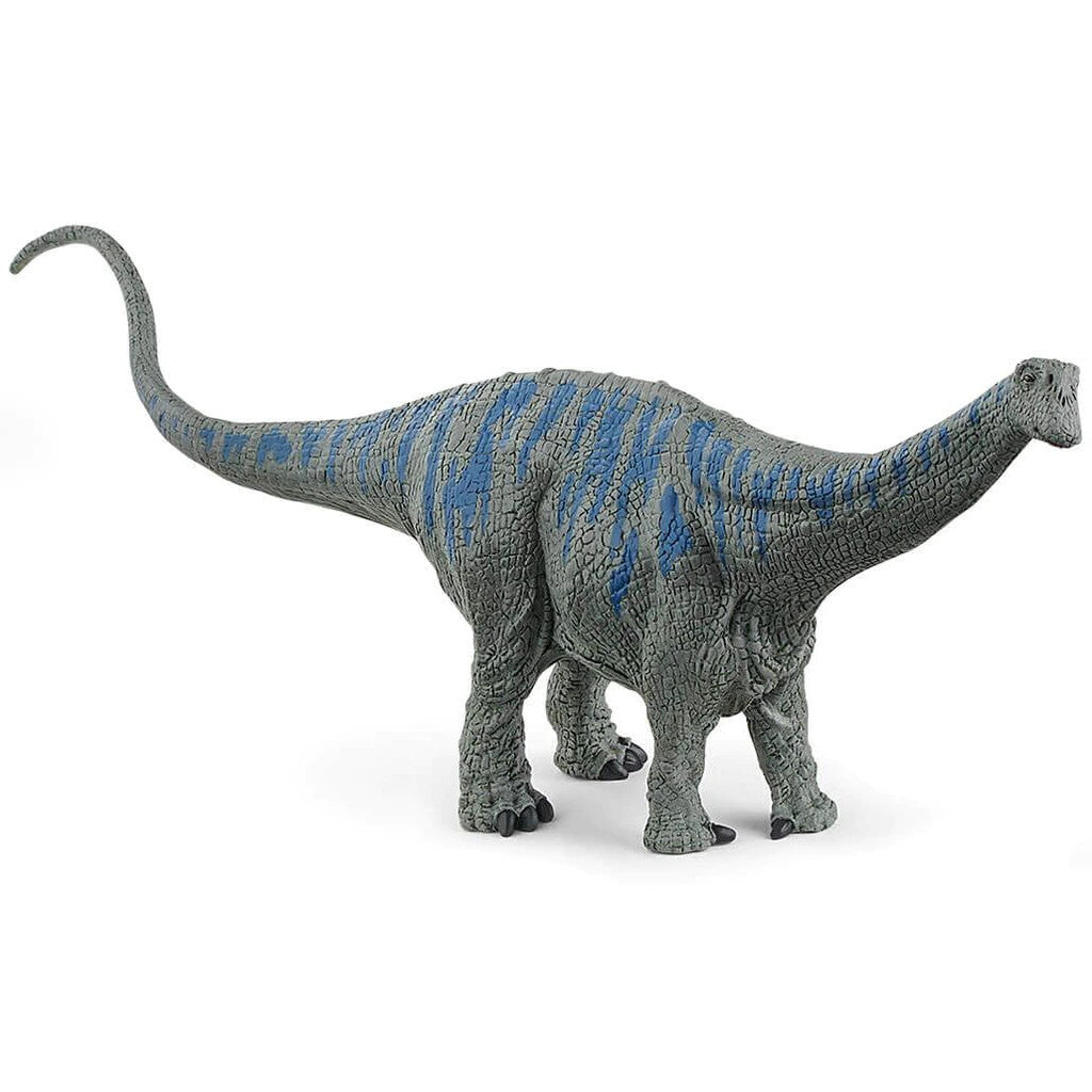 Schleich Dinosaurs - Brontosaurus (10.8cm Tall) DISC<br>(Shipped in 10-14 days)